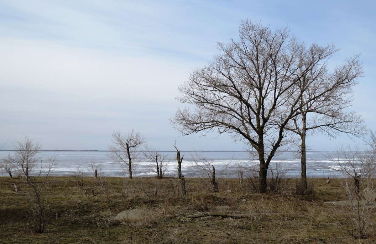 �����, ������ � ��������....) ����� Natali  ��������� �� PhotoGeek.ru #������ ��� �������