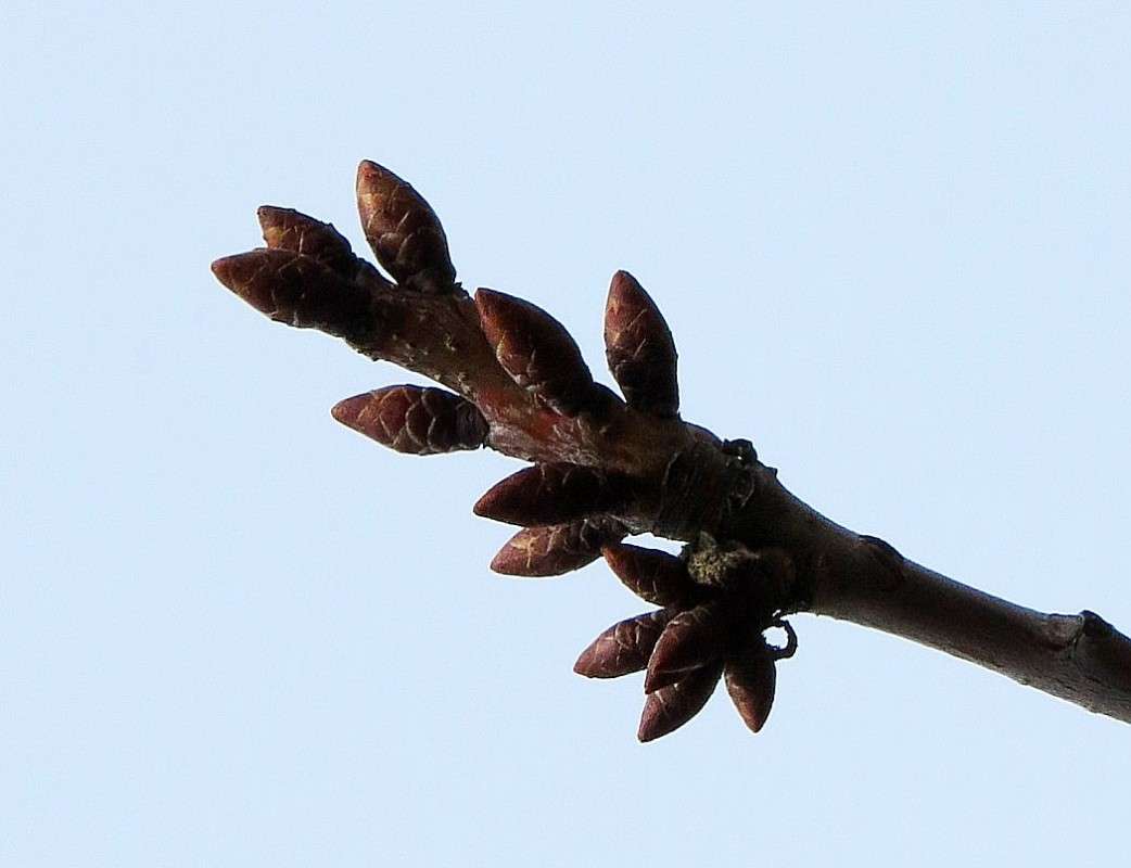 ������� �� ������...) ����� Natali  ��������� �� PhotoGeek.ru #������ ��� ������� #����� ��������������