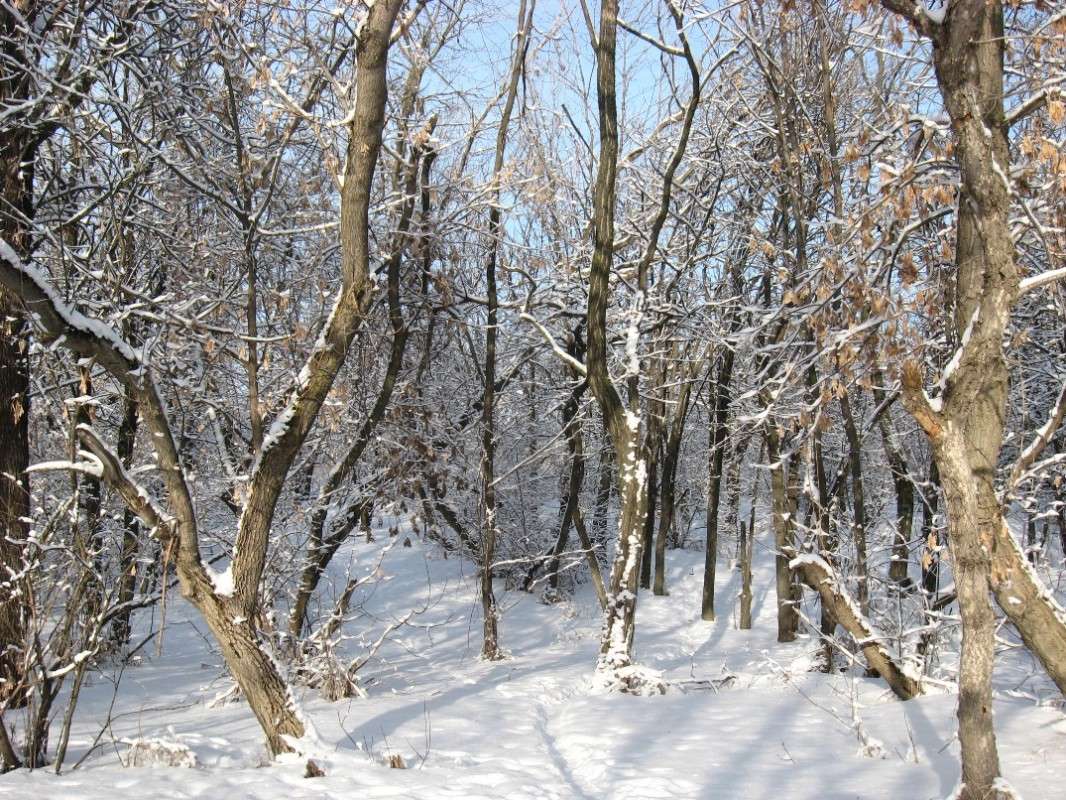 ����������� ��������� ����� ����� Natali  ��������� �� PhotoGeek.ru #������ ��� �������