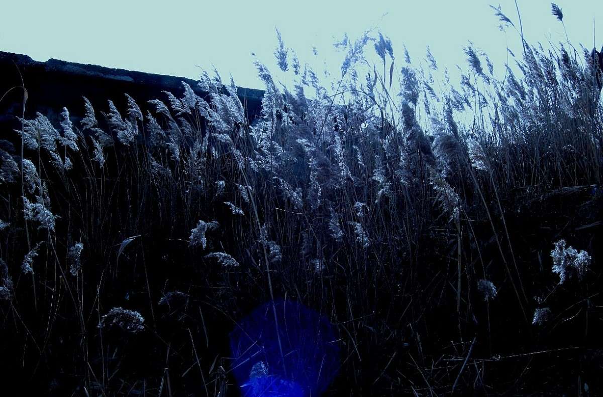 ))) ����� Natali  ��������� �� PhotoGeek.ru #������ ��� ������� #����� ��������������