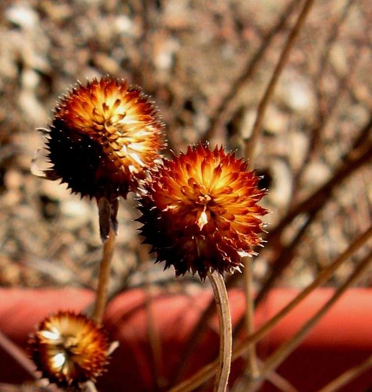 ������� ����� ������� ... ))) ����� Natali  ��������� �� PhotoGeek.ru #������ ��� ������� #����� ��������������