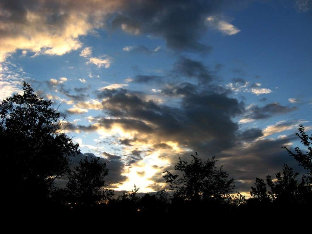 ... ����� Natali  ��������� �� PhotoGeek.ru #������ ��� �������