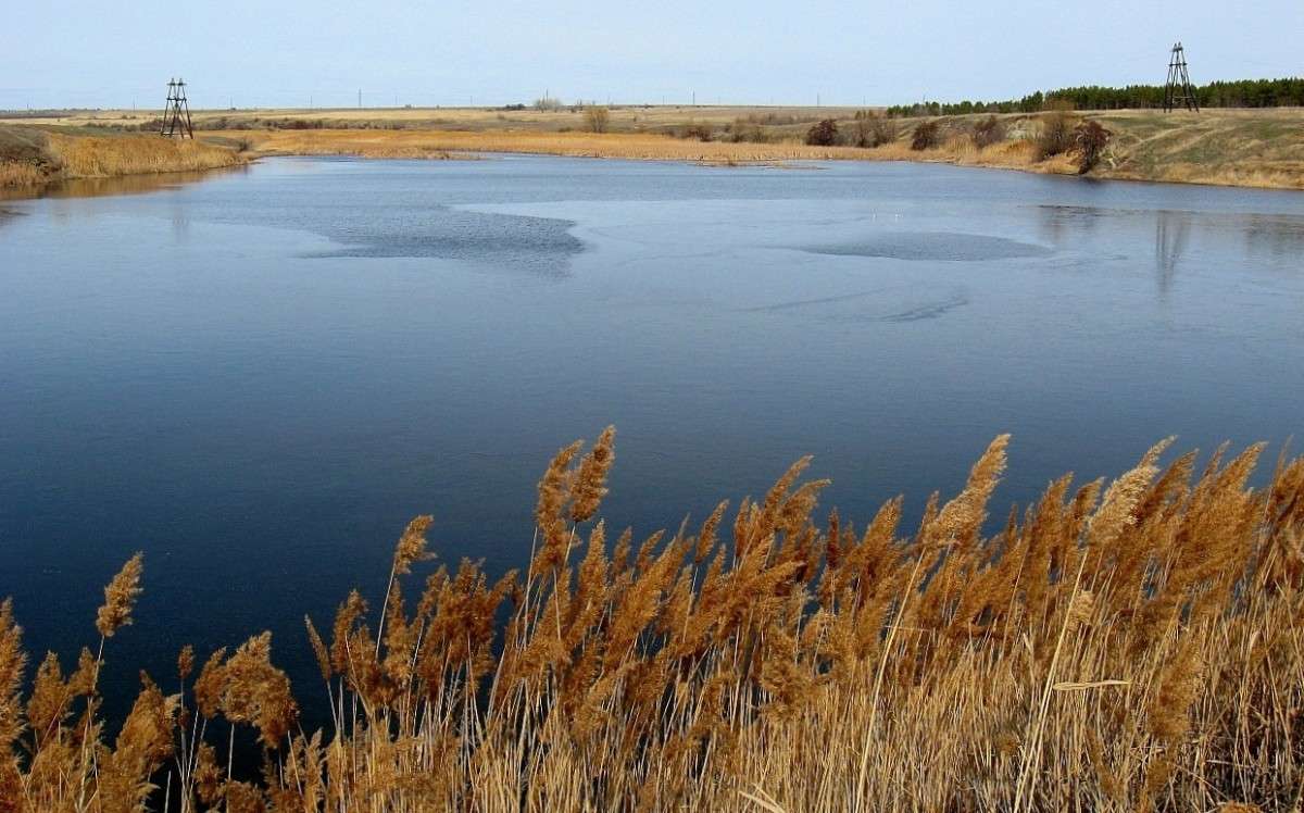 ��������� ������� ����� Natali  ��������� �� PhotoGeek.ru #������ ��� ������� #����� ��������������