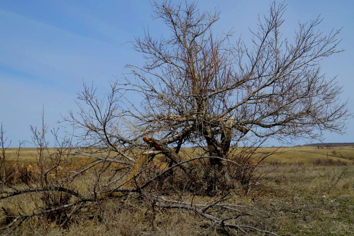 ��� ����� ������...) ����� Natali  ��������� �� PhotoGeek.ru #������ ��� ������� #����� ��������������