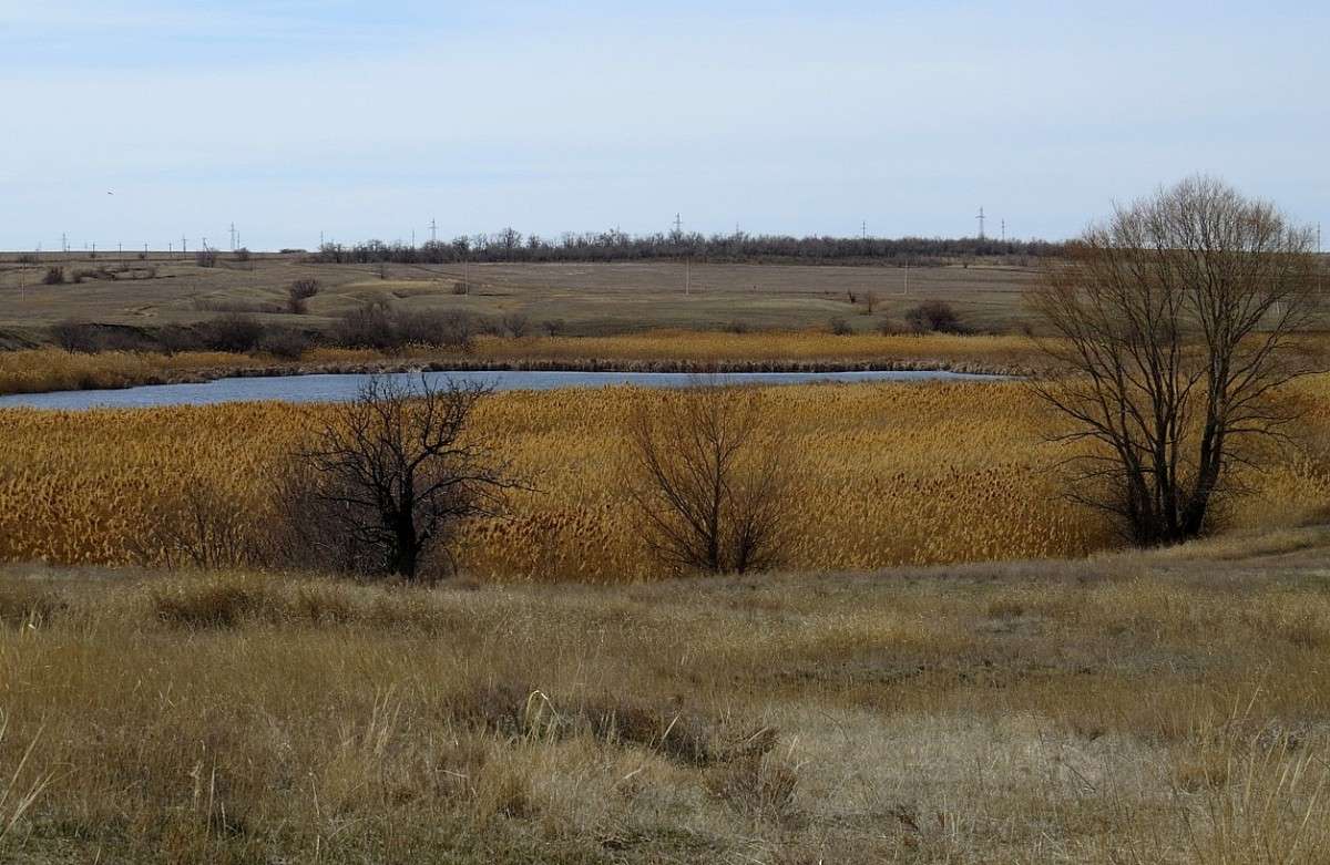 ������� ���� � ������ ������� ... ) ����� Natali  ��������� �� PhotoGeek.ru #������ ��� �������