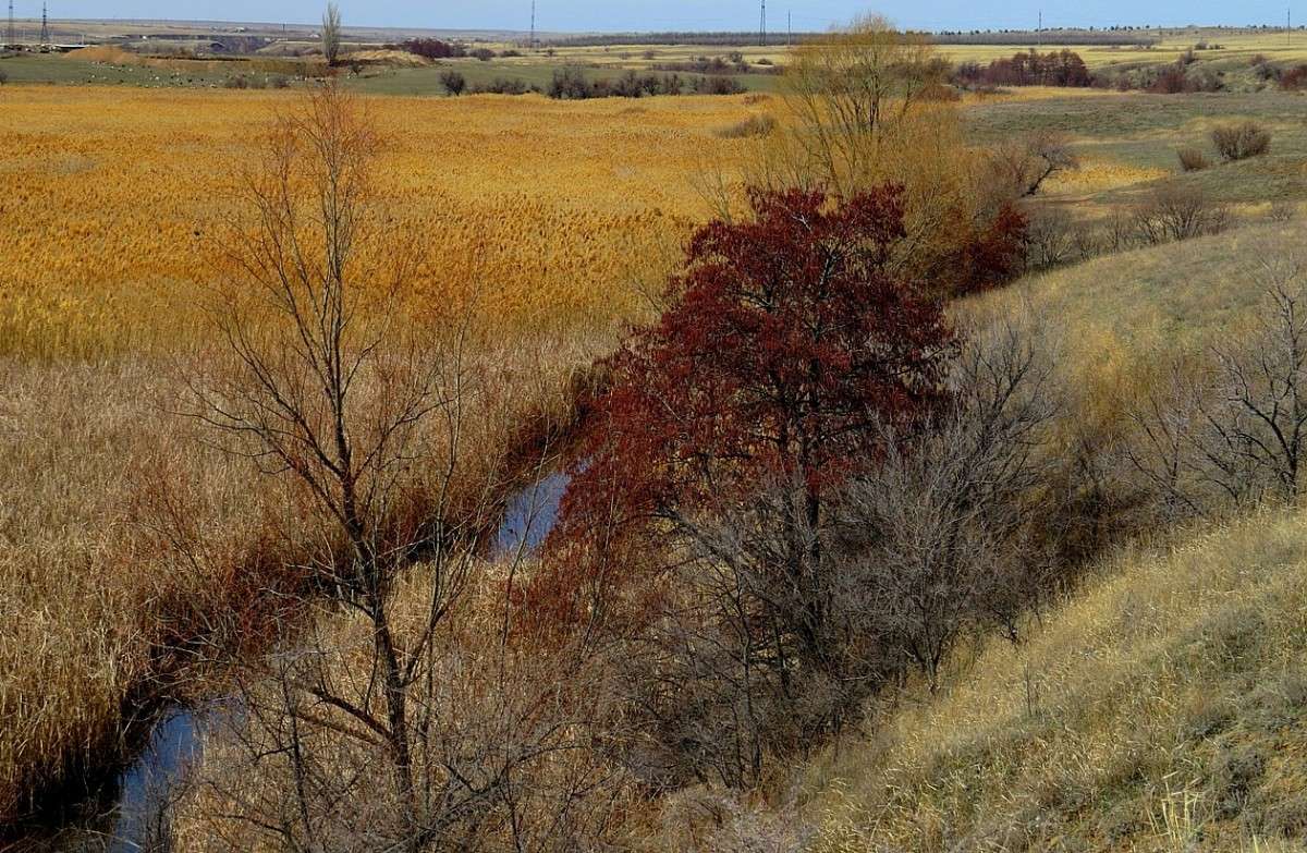 ������� ���� � ������ ������� 2 ... ) ����� Natali  ��������� �� PhotoGeek.ru #������ ��� �������