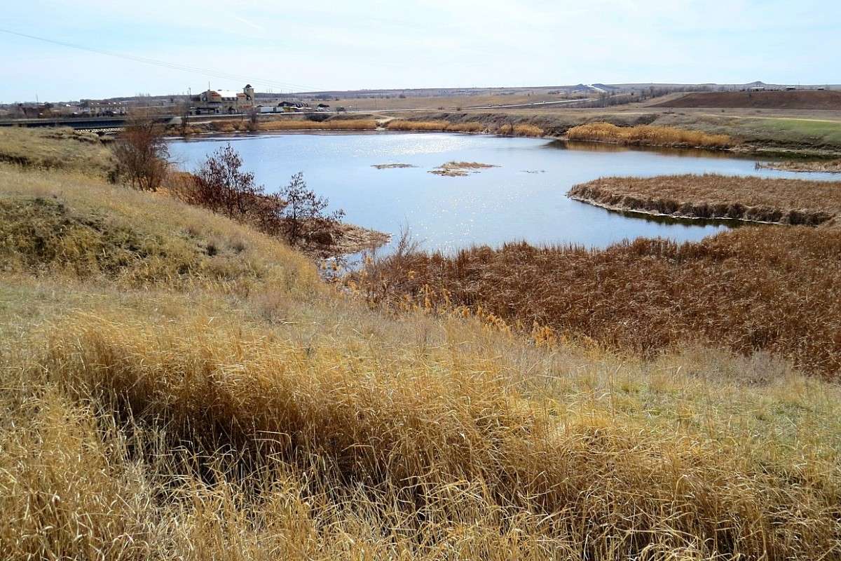 ������� ���� � ������ �������  3 ... ) ����� Natali  ��������� �� PhotoGeek.ru #������ ��� �������