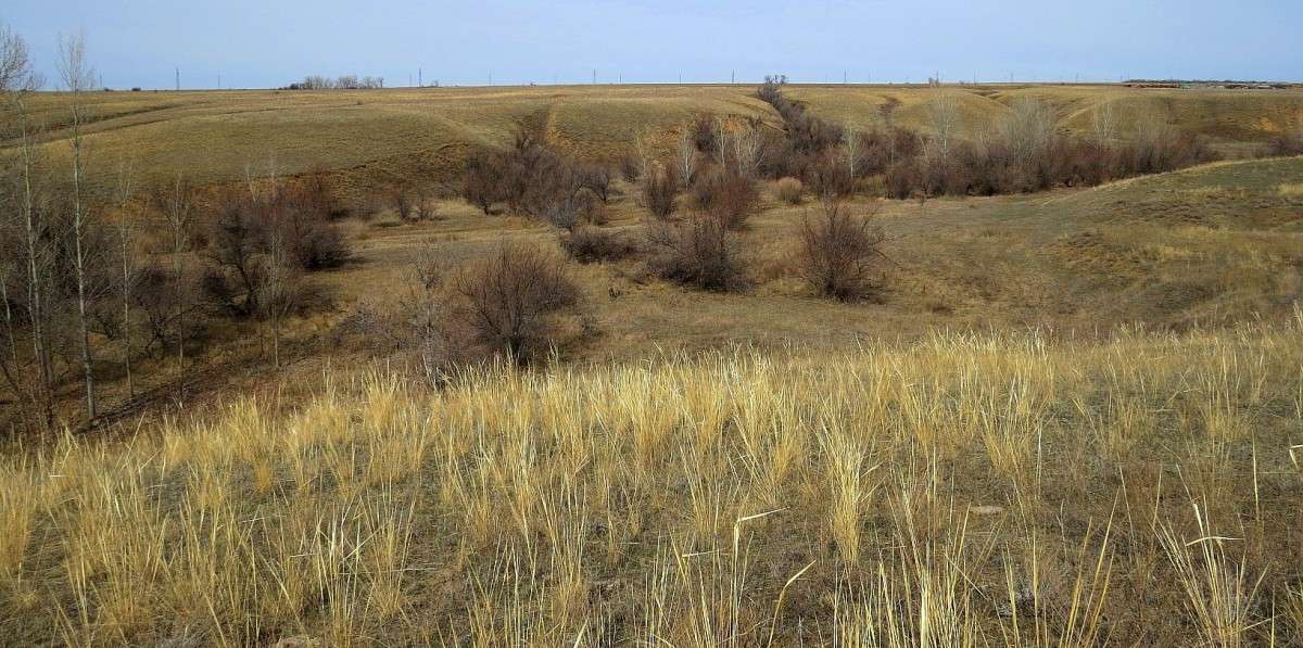 ������ ����� ���� ����... ����� Natali  ��������� �� PhotoGeek.ru #������ ��� ������� #����� ��������������