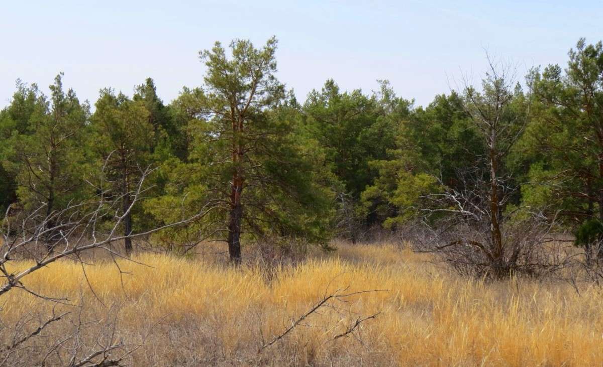 � � �������� ����... ) ����� Natali  ��������� �� PhotoGeek.ru #������ ��� ������� #����� ��������������