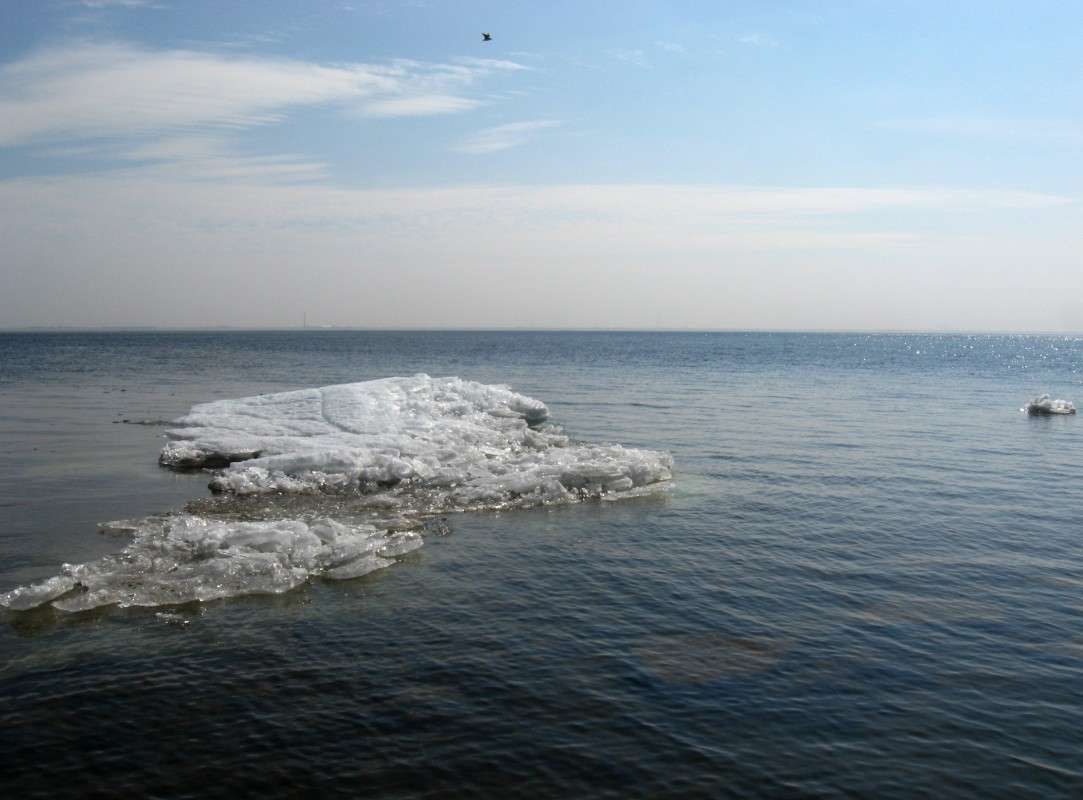 � ���� � ��� ����� ))) ����� Natali  ��������� �� PhotoGeek.ru #������ ��� �������