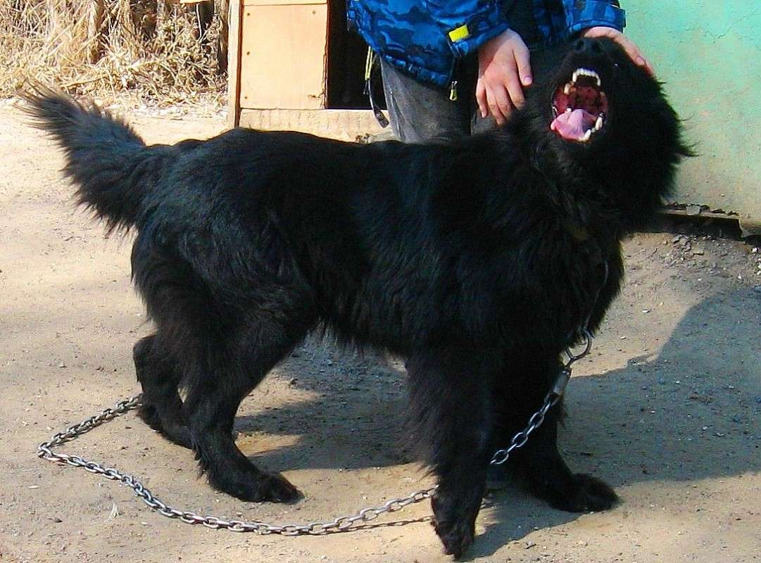 ������ ����� � ������ �������...) ����� Natali  ��������� �� PhotoGeek.ru #�������� ��� #�������� ���������� #�������� ���