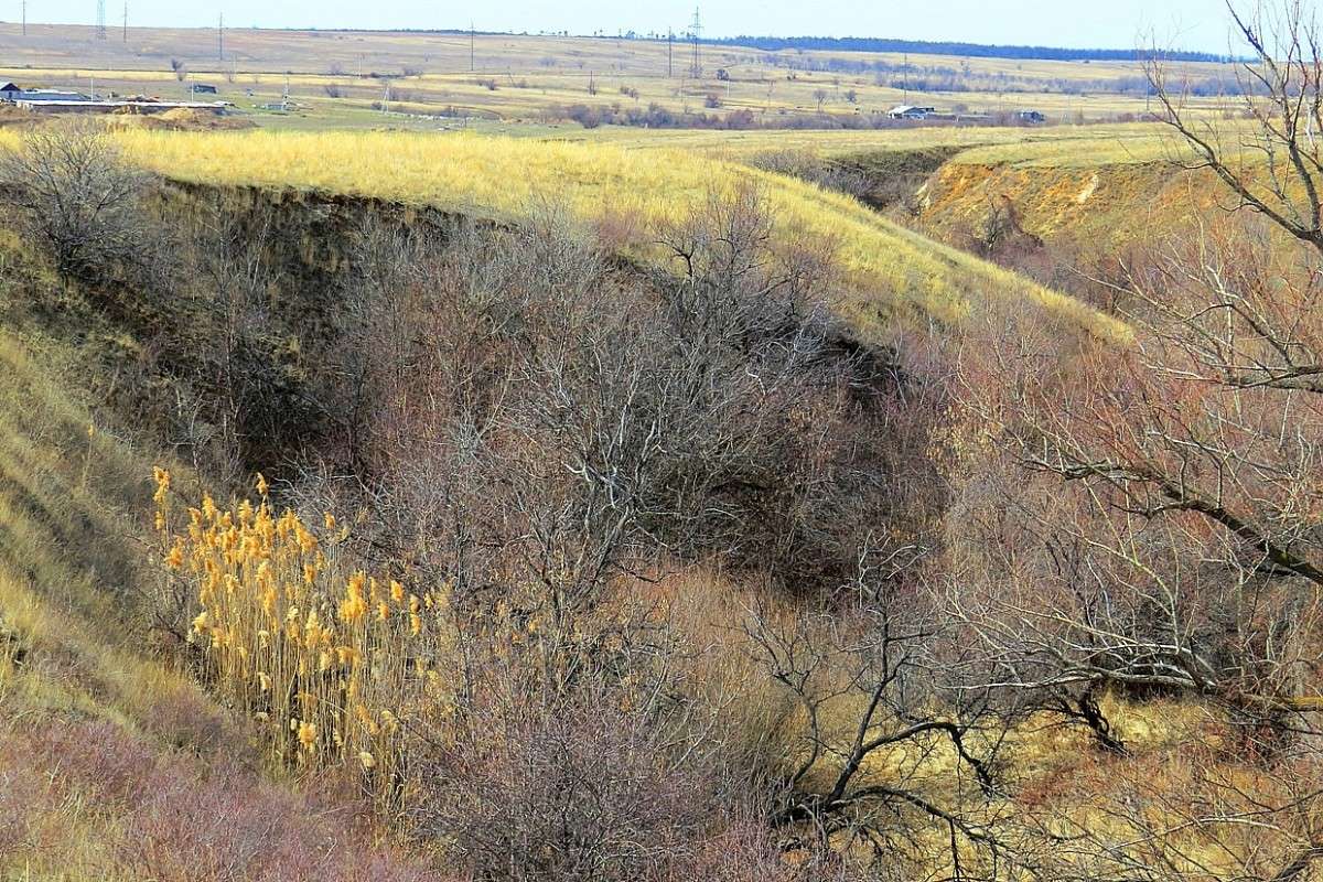 �������� ������� ����� Natali  ��������� �� PhotoGeek.ru #������ ��� ������� #����� ��������������