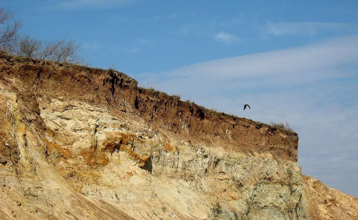 ������  ���. ������� ���� ����....) ����� Natali  ��������� �� PhotoGeek.ru #�������� ��� #������ ��� ������� #����� ��� ��� ���������