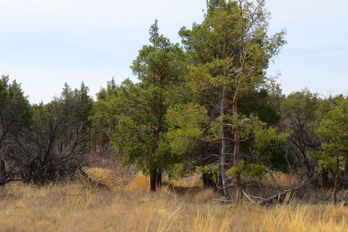 ����� ��� ����� ����� Natali  ��������� �� PhotoGeek.ru #������ ��� ������� #����� ��������������