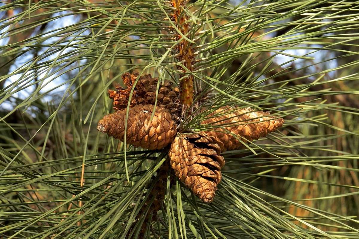 ���� � ����... ) ����� Natali  ��������� �� PhotoGeek.ru #����� ��������������