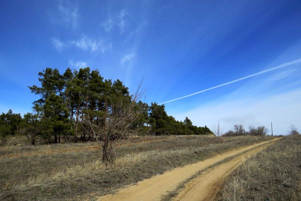 ��� ������ ������ ����� Natali  ��������� �� PhotoGeek.ru #������ ��� ������� #����� ��������������