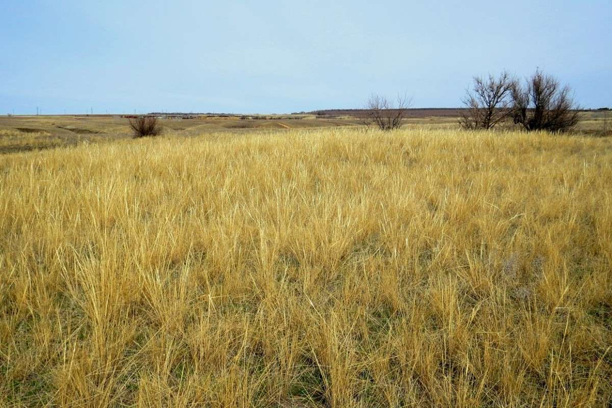 ��������� ���� ... ) ����� Natali  ��������� �� PhotoGeek.ru #������ ��� �������