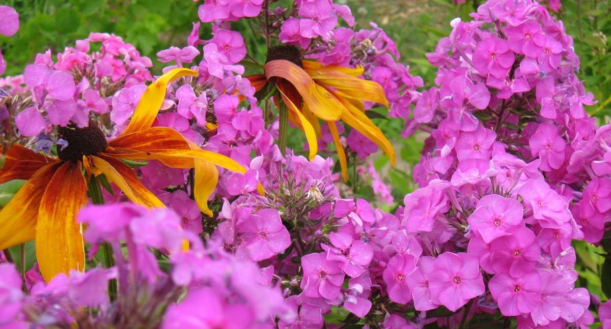 ����� ����� ���� ! ) ����� Natali  ��������� �� PhotoGeek.ru #������ ��� ������� #����� ��������������