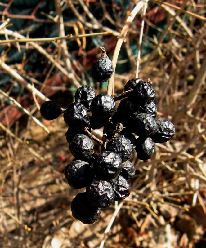 �������� ������� ����� Natali  ��������� �� PhotoGeek.ru #������ ��� ������� #����� ��������������