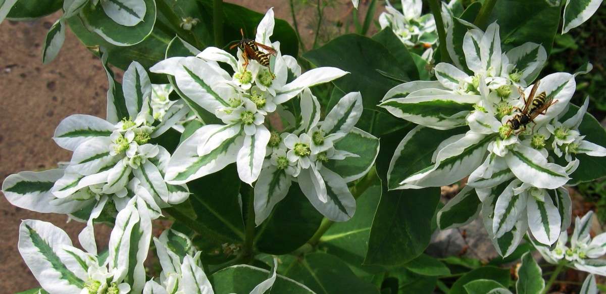 ������� ����� Natali  ��������� �� PhotoGeek.ru #������ ��� ������� #����� ��������������