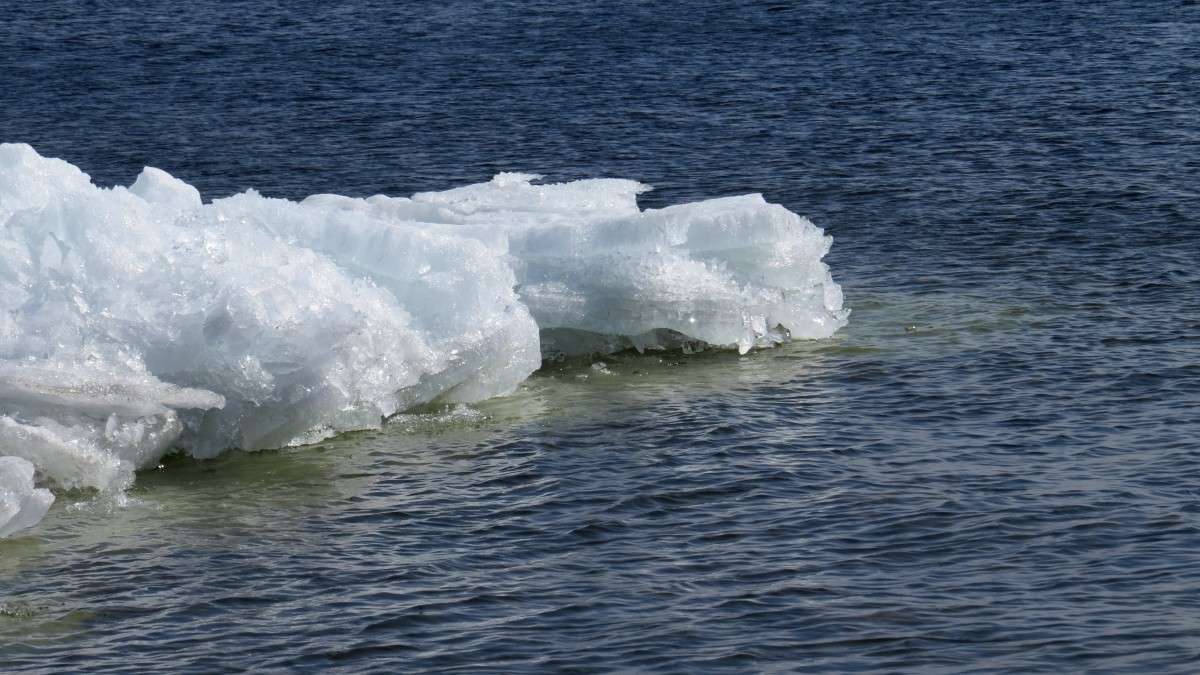 ��������� �� ����� Natali  ��������� �� PhotoGeek.ru #������ ��� �������