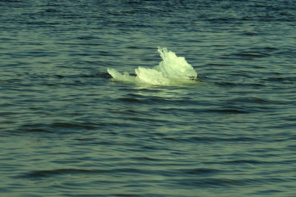 ����� ������ ...) ����� Natali  ��������� �� PhotoGeek.ru #������ ��� �������