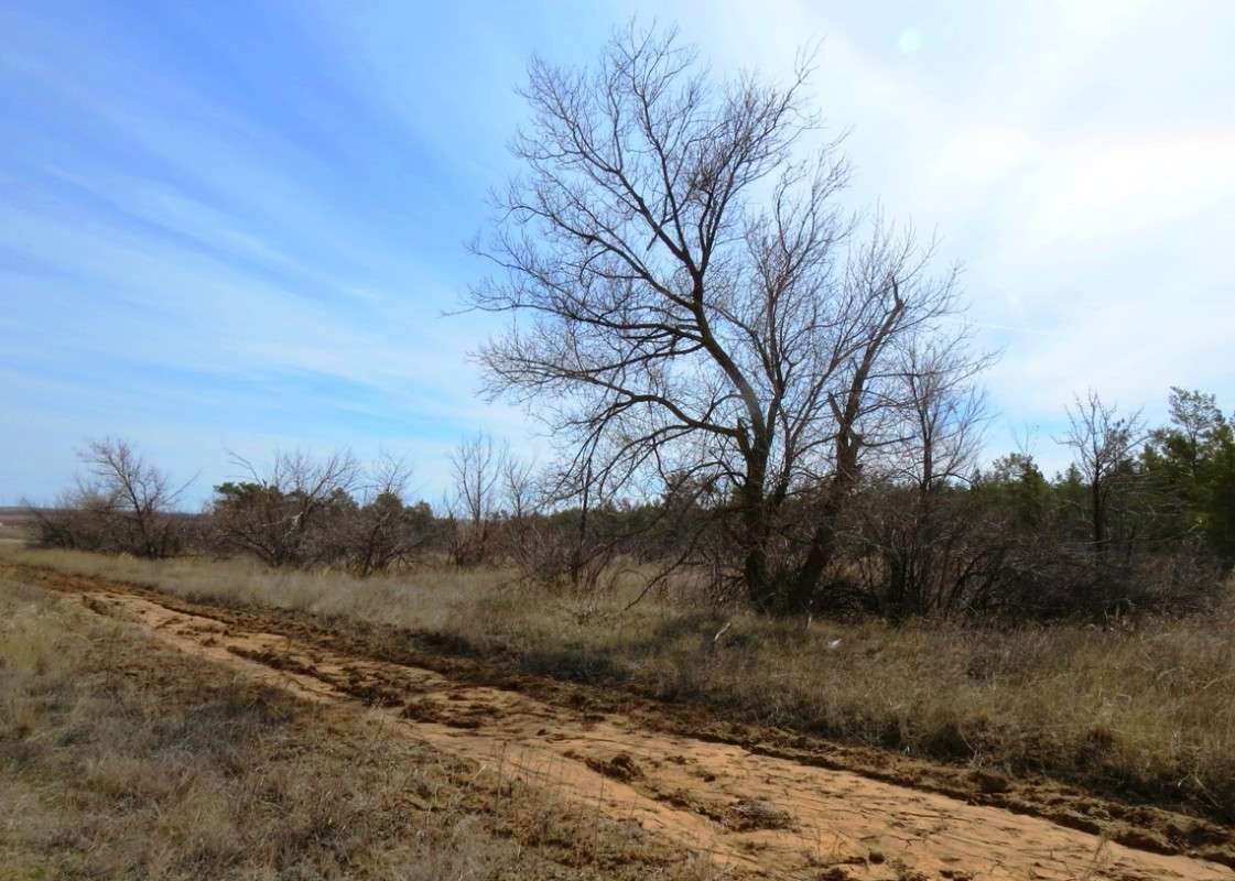 ... ����� Natali  ��������� �� PhotoGeek.ru #������ ��� �������