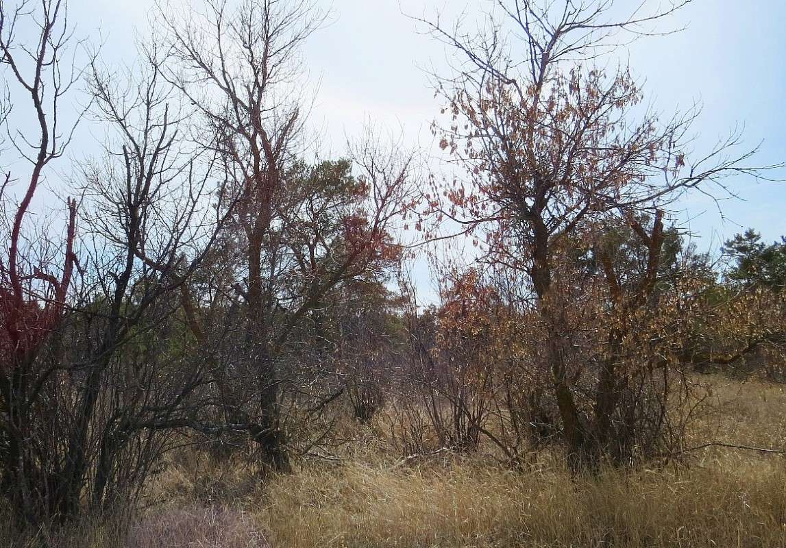 �� �������� ������ ... ����� Natali  ��������� �� PhotoGeek.ru #������ ��� ������� #����� ��������������