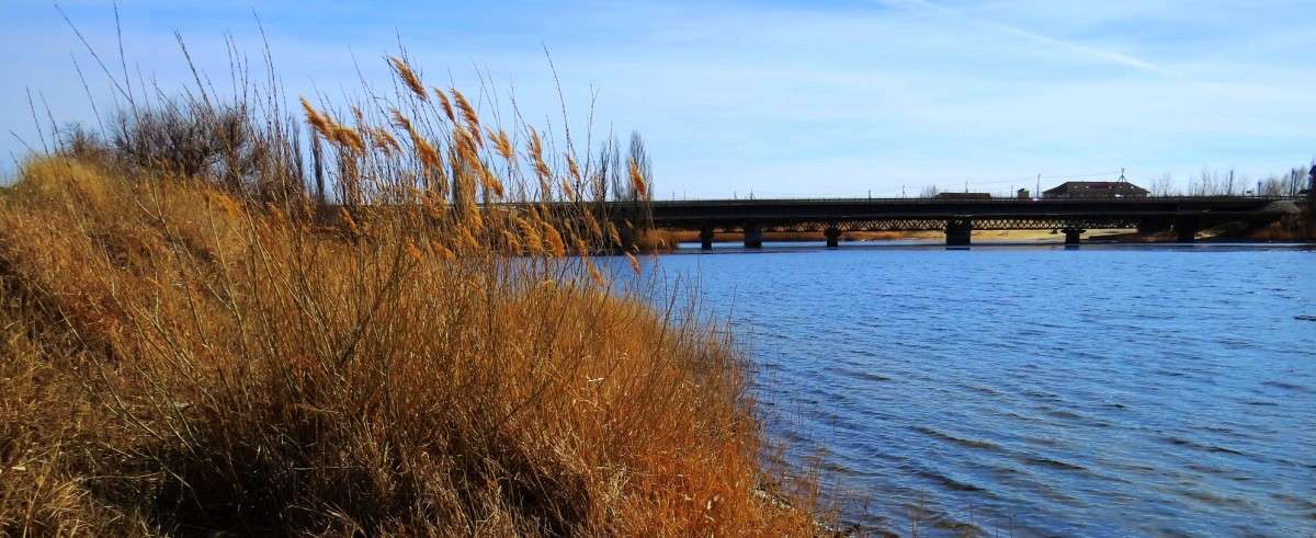 �� ������� ����� Natali  ��������� �� PhotoGeek.ru #������ ��� ������� #����� ��������������