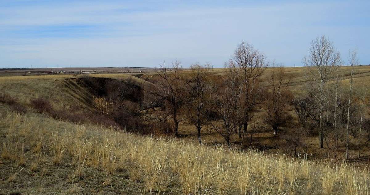 � ����� �� ��� ?! ... ) ����� Natali  ��������� �� PhotoGeek.ru #������ ��� �������