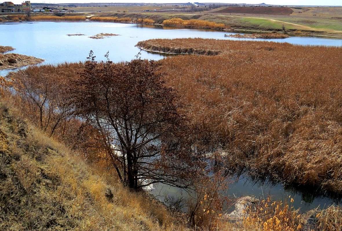 ����� � �������� ����� ... ) ����� Natali  ��������� �� PhotoGeek.ru #������ ��� ������� #����� ��������������