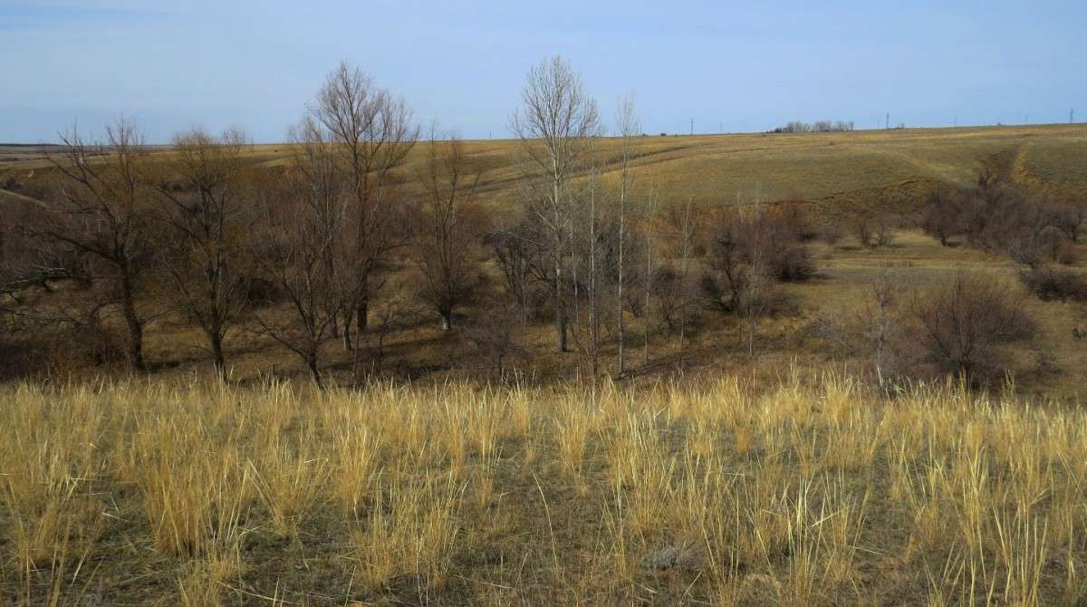 ������ ����� Natali  ��������� �� PhotoGeek.ru #������ ��� �������