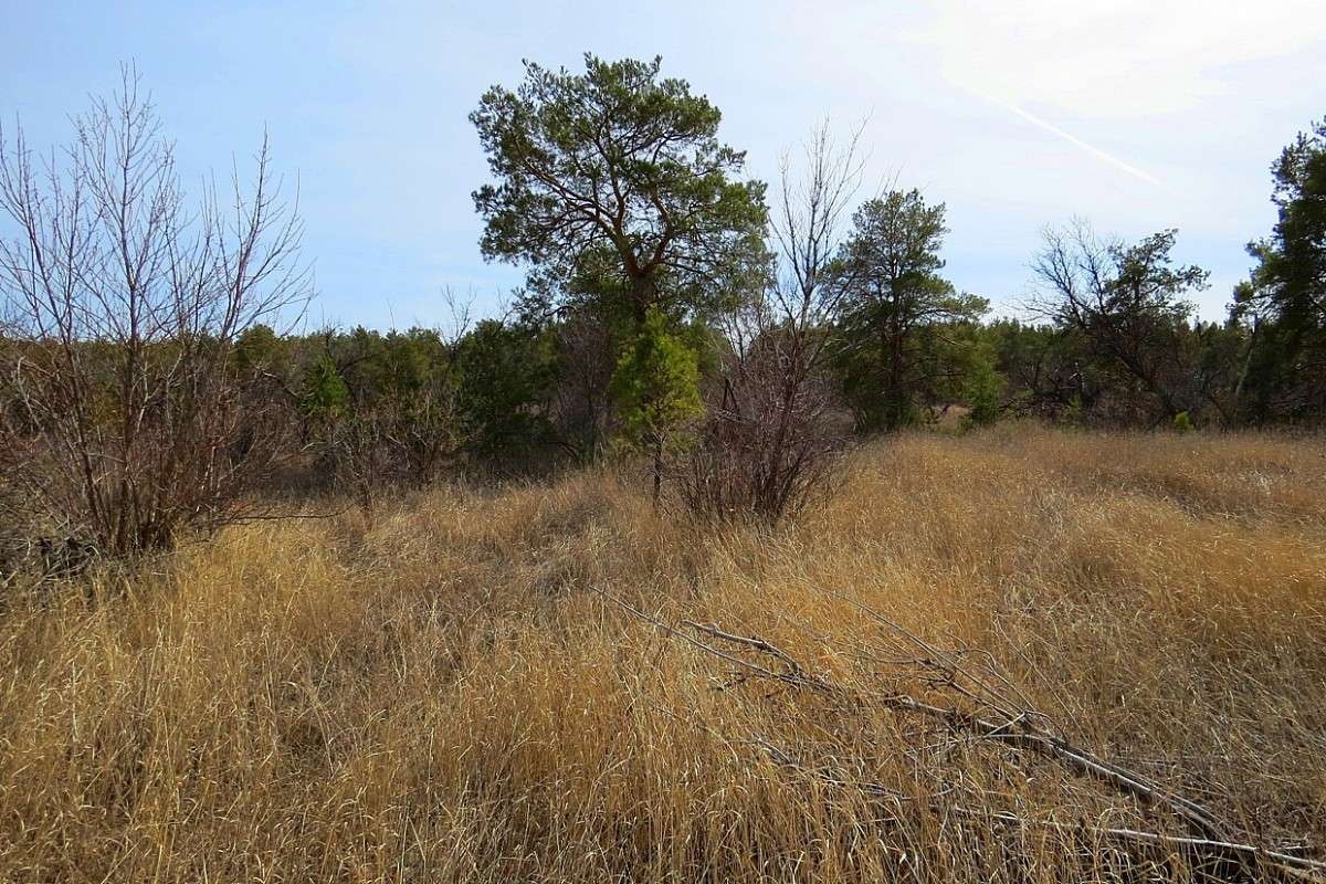 ��� �������� ... ) ����� Natali  ��������� �� PhotoGeek.ru #������ ��� ������� #����� ��������������