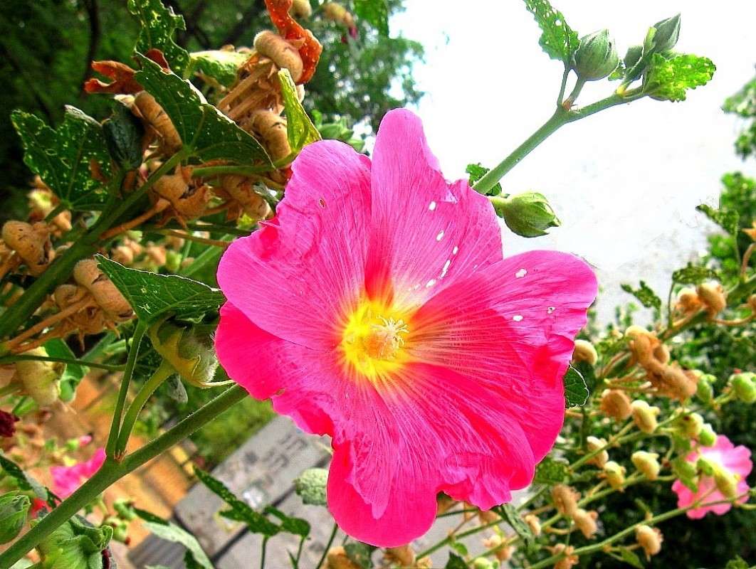 ��������� *__* ����� Natali  ��������� �� PhotoGeek.ru #������ ��� ������� #����� ��������������