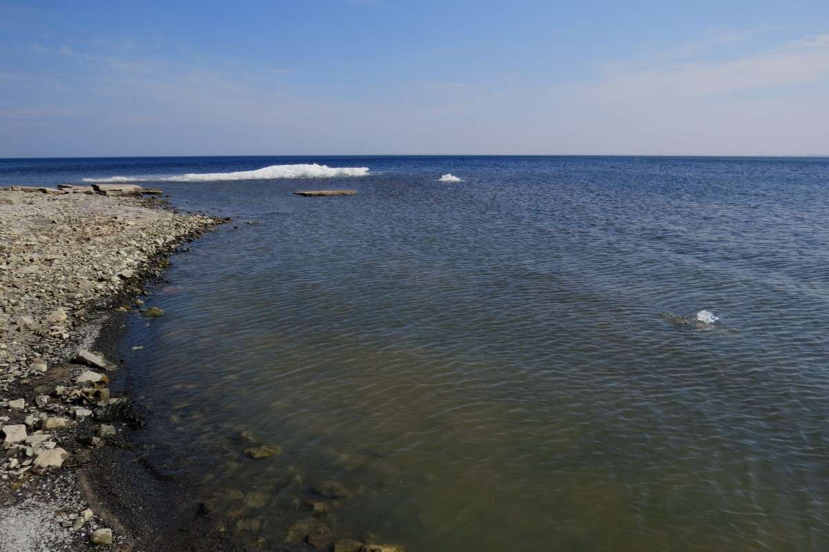 �� ���� ������� .... ) ����� Natali  ��������� �� PhotoGeek.ru #������ ��� �������