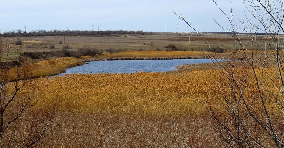 ������ (��� �������) ����� Natali  ��������� �� PhotoGeek.ru #������ ��� ������� #����� ��������������