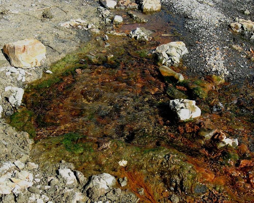 ������  (��� �������) ����� Natali  ��������� �� PhotoGeek.ru #������ ��� ������� #����� ��������