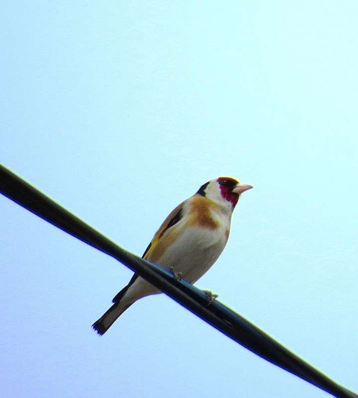 ������ ����, ������ �����.... ) ����� Natali  ��������� �� PhotoGeek.ru #�������� ��� #����� ��� ��� ���������