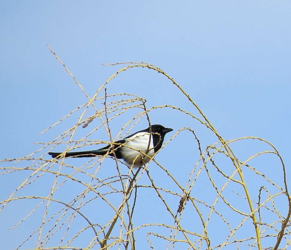 �������� ������ .... ))) ����� Natali  ��������� �� PhotoGeek.ru #�������� ��� #����� ��� ��� ���������