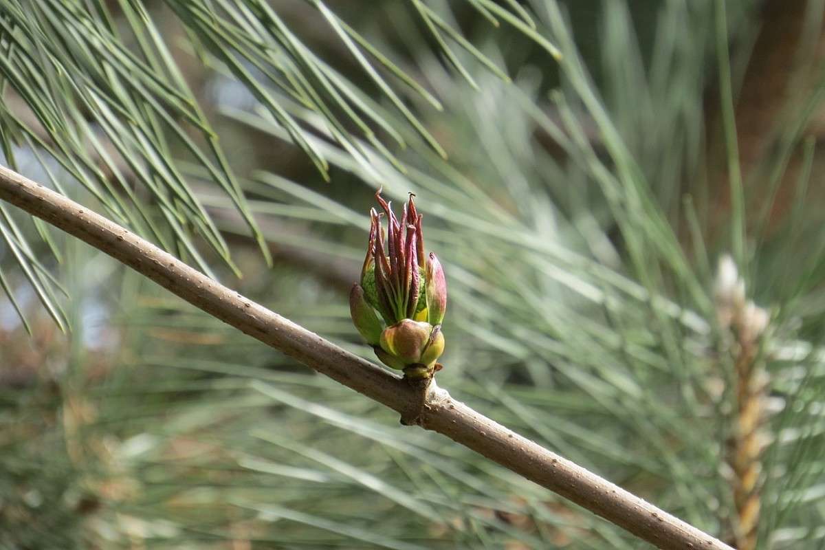 ... ����� Natali  ��������� �� PhotoGeek.ru #������ ��� ������� #����� ��������������