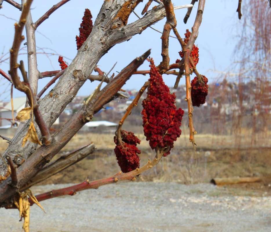 �� �����... ) ����� Natali  ��������� �� PhotoGeek.ru #������ ��� ������� #����� ��������������