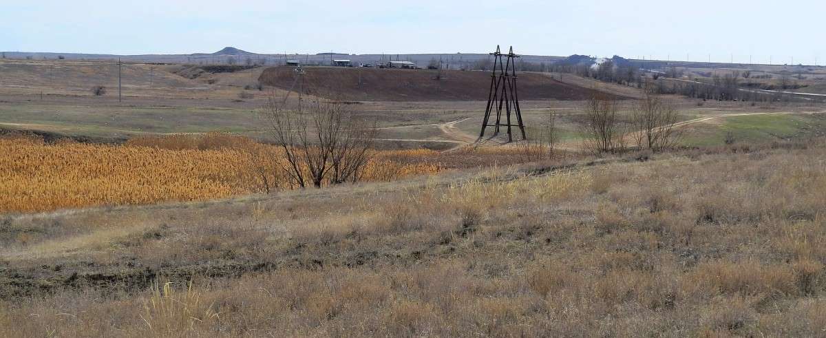 � ������� � �������.... ) ����� Natali  ��������� �� PhotoGeek.ru #������ ��� ������� #����� �������������� #����� ��������