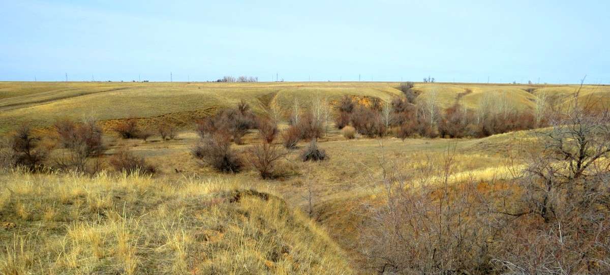 ... ����� Natali  ��������� �� PhotoGeek.ru #������ ��� ������� #����� ��������������