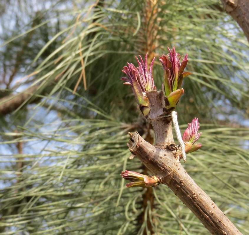 ... ����� Natali  ��������� �� PhotoGeek.ru #������ ��� ������� #����� ��������������