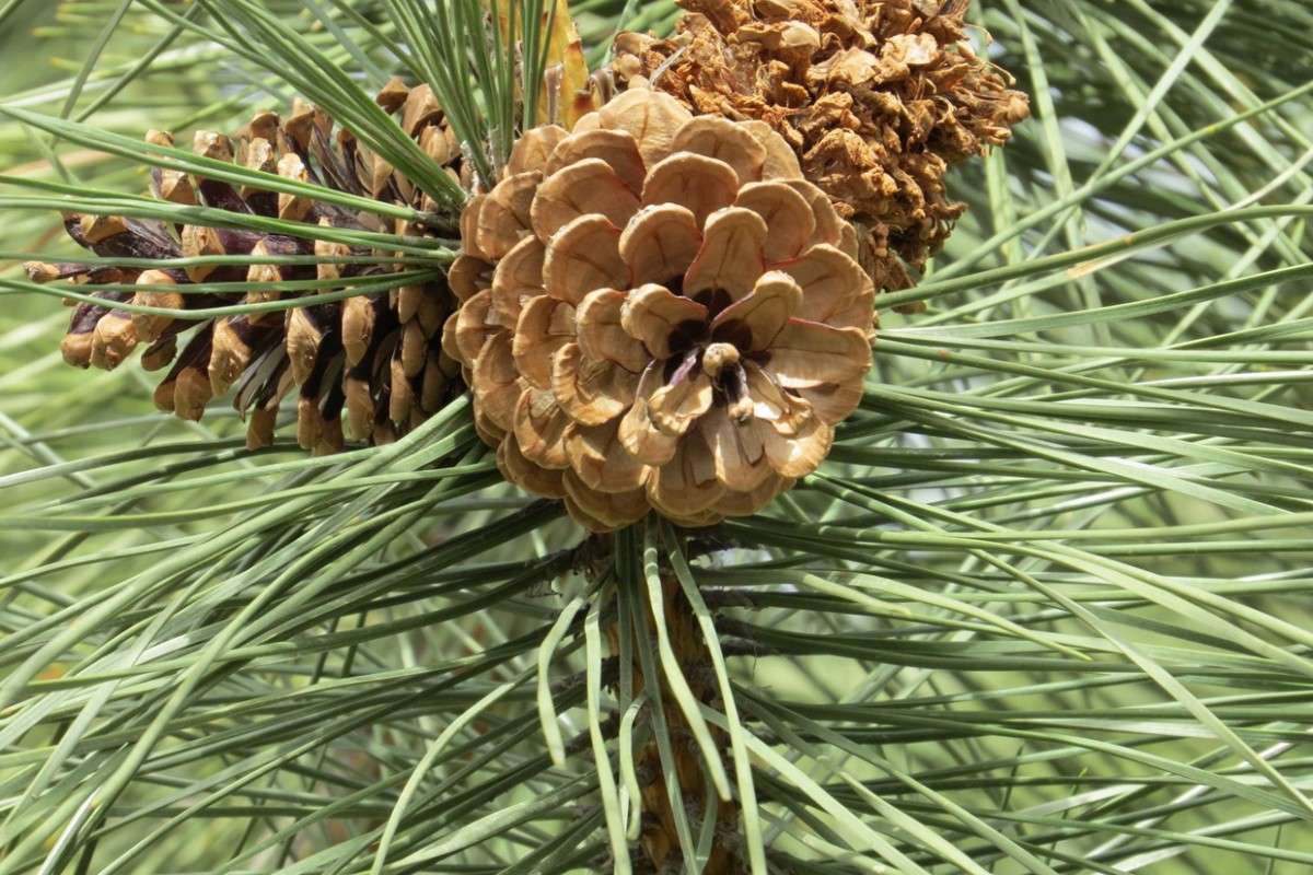 ������� ))) ����� Natali  ��������� �� PhotoGeek.ru #������ ��� ������� #����� ��������������