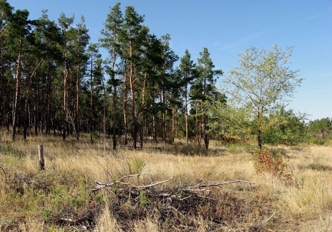 ... ����� Natali  ��������� �� PhotoGeek.ru #������ ��� ������� #����� ��������������