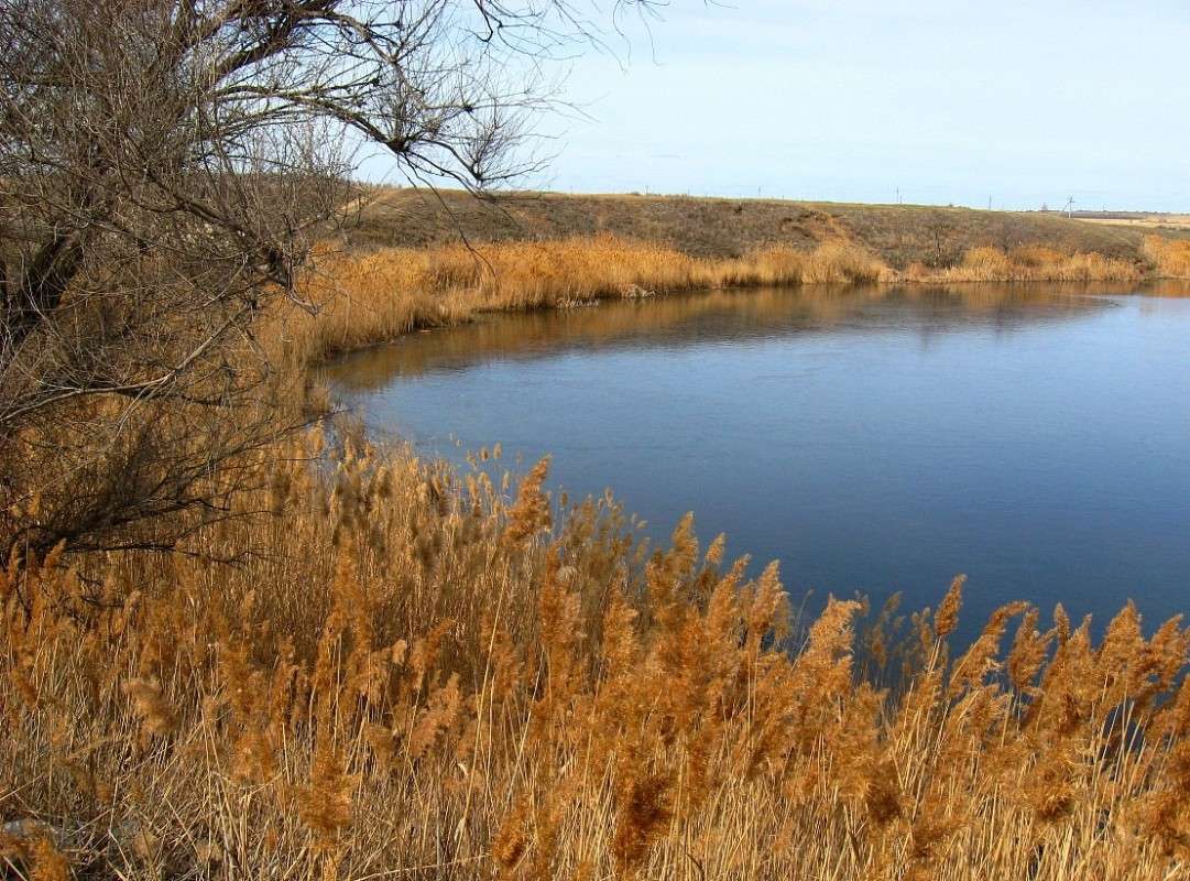 � �������... ����� Natali  ��������� �� PhotoGeek.ru #������ ��� �������