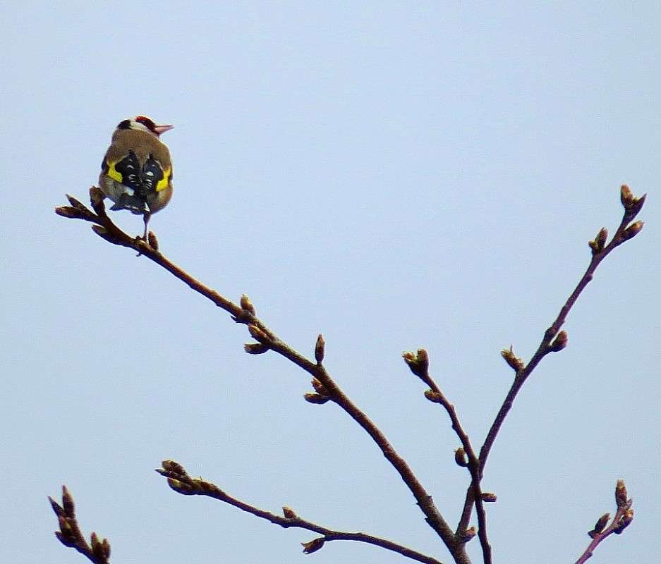 ��� ������ ������. ����� Natali  ��������� �� PhotoGeek.ru #�������� ��� #����� ��� ��� ���������