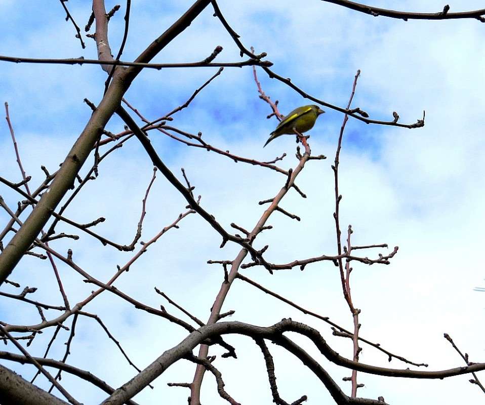 ��� ������ ������ 2. ����� Natali  ��������� �� PhotoGeek.ru #�������� ��� #����� ��� ��� ���������