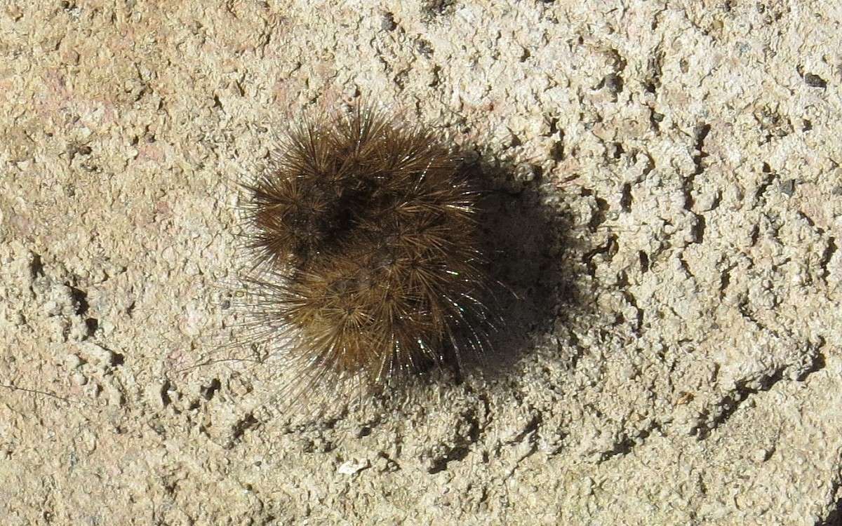 ����������� ��� ))) ����� Natali  ��������� �� PhotoGeek.ru #�������� ���